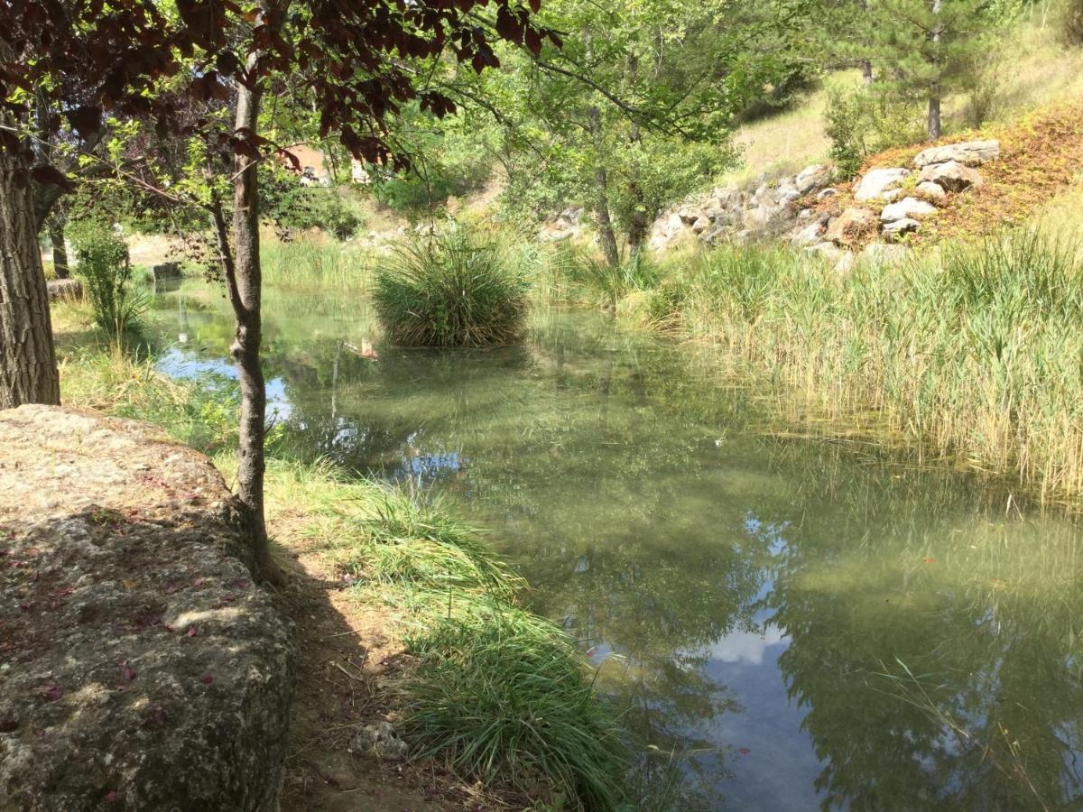 Mazet Tournesol Aux Portes Du Verdon Saint-Martin-de-Brômes Buitenkant foto